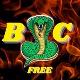 Imagem do canal de telegram Bets Club Free