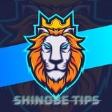 Imagem do grupo de telegram 🎖 S.H.I.N.O.B.E - T.I.P.S - C.H.A.T 🚩
