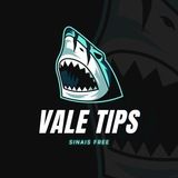 Imagem do canal de telegram VALE TIPS🌊 [ sinais free ]