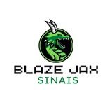 Imagem do grupo de telegram Blaze Sinais 👑DOUBLE FREE