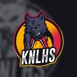 Imagem do canal de telegram 🎖⚽️KNLHS - FUTEBOL VIP ⚽️🎖