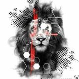 Imagem do grupo de telegram SINAIS ALPHA LION 🔮