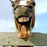 Imagem do canal de telegram Rindo Adoidado