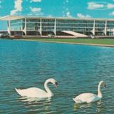 Imagem do grupo de telegram Distrito Federal - DF