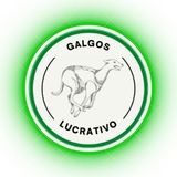 Imagem do canal de telegram GALGOS LUCRATIVO 🔫🔥