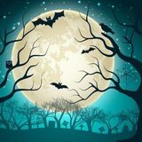 Imagem do canal de telegram Adobe stock