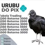 Imagem do grupo de telegram URUBU DO PIX