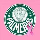 Imagem do canal de telegram Palmeiras Arquivo ® 🇳🇬🐷
