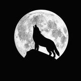 Imagem do grupo de telegram Góticos De BH