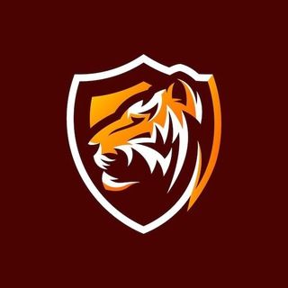 Imagem do canal de telegram TigersTips ON ⚽🏀