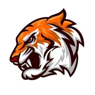 Imagem do canal de telegram Tiger Tips