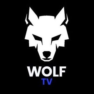 Imagem do grupo de telegram WOLF TV - MELHORES APPS IPTV E P2P SEM TRAVAS