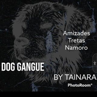 Imagem do grupo de telegram 🍷🗿Dog gangue