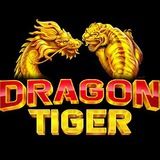 Imagem do canal de telegram DRAGON TIGER 🔴🟡🟢