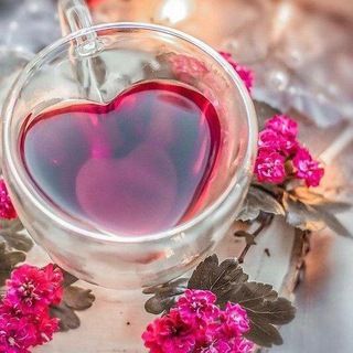 Imagem do grupo de telegram SALMO A DEUS