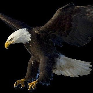 Imagem do grupo de telegram Águia 🦅
