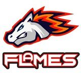 Imagem do grupo de telegram FLAMES BET - SINAIS 🤑