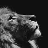 Imagem do canal de telegram Dinheiro/bot