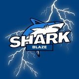 Imagem do grupo de telegram SHARK BLAZE - FREE 🦈