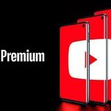 Imagem do grupo de telegram YOUTUBE FAMÍLIA 🛑