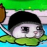 Imagem do canal de telegram Armazém Estragado