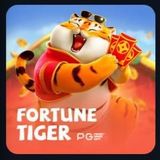 Imagem do grupo de telegram FORTUNE TIGER (METODOS GRATIS)