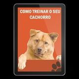 Imagem do canal de telegram Como treinar o seu cachorro