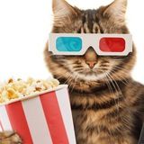 Imagem do canal de telegram FILMES E SÉRIES - BRASIL