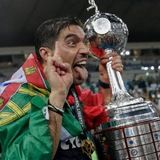 Imagem do canal de telegram Somente Verdão