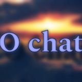 Imagem do grupo de telegram 𝐎 𝐜𝐡𝐚𝐭