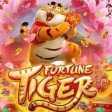 Imagem do canal de telegram SINAIS FORTUNE TIGER-24HRS🐯🍀🚀
