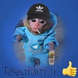 Imagem do grupo de telegram Telegram Jr. [Definitive Edition]