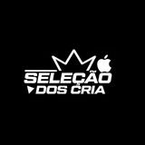 Imagem do grupo de telegram ＳＥＬＥｃａＯ ＤＯＳ ＣＲｉＡ