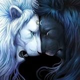 Imagem do grupo de telegram 𝐒𝐚̃ 𝐃𝐨𝐮𝐭𝐫𝐢𝐧𝐚