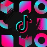 Imagem do canal de telegram TikTok Pro