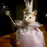 Imagem do canal de telegram 𝑾𝒆𝒃 𝒂𝒎𝒊𝒈𝒐𝒔💚