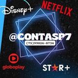 Imagem do grupo de telegram @ContasP7- Telas Netflix