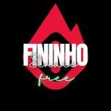 Imagem do grupo de telegram - SINAIS DO FINO FREE