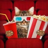 Imagem do grupo de telegram GATO CINE 📺 MODS APK