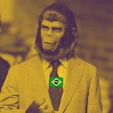 Imagem do canal de telegram MACAQUISTÃO 🦍