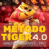 Imagem do canal de telegram 🐅 Método Tiger 4.0 💵 | Horários Pagantes