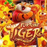 Imagem do grupo de telegram PLATAFORMA NOVA 🎰💸🔥