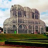 Imagem do grupo de telegram CityClub Curitiba