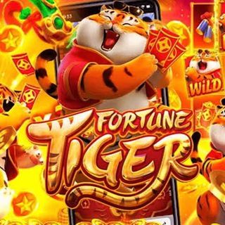 Imagem do grupo de telegram FORTUNE SLOTS 🎰🎰🎰💸💸