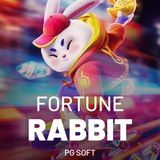 Imagem do grupo de telegram 🤑🐰SINAIS DO COELHO🐰🤑