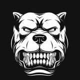 Imagem do grupo de telegram Testosterona club