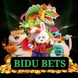 Imagem do grupo de telegram Casas de Apostas - Cassino - Slots - BIDU BETS
