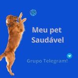 Imagem do canal de telegram Receitas Saudáveis Meu Pet 🐾