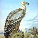 Imagem do canal de telegram Revendas Canais & Mídias