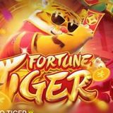 Imagem do canal de telegram TIGRINHOWIN PAGAMENTO CERTO Free